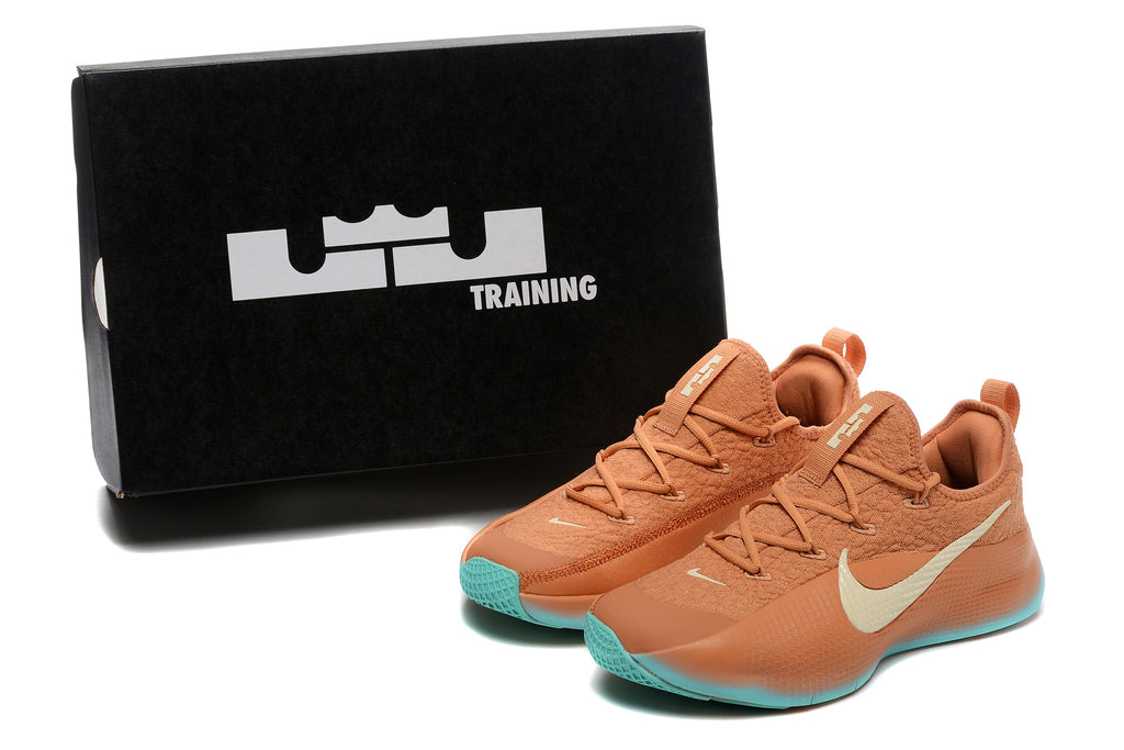 Nike LeBron TR1 Low-Top Basketball Shoes