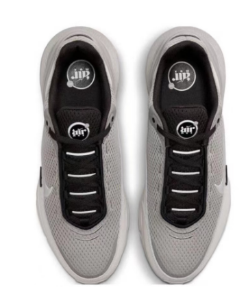 Nike Air Max Sneaker in Light Grey and White