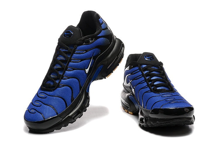 Nike Air Max Plus Blue and Black Sneakers