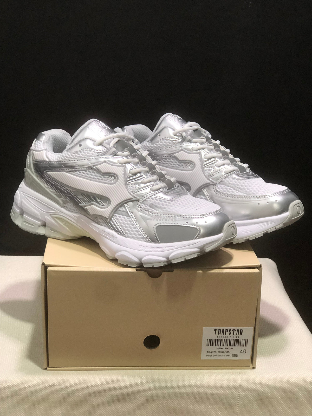 TAP Retro Chunky Sneakers in White and Silver
