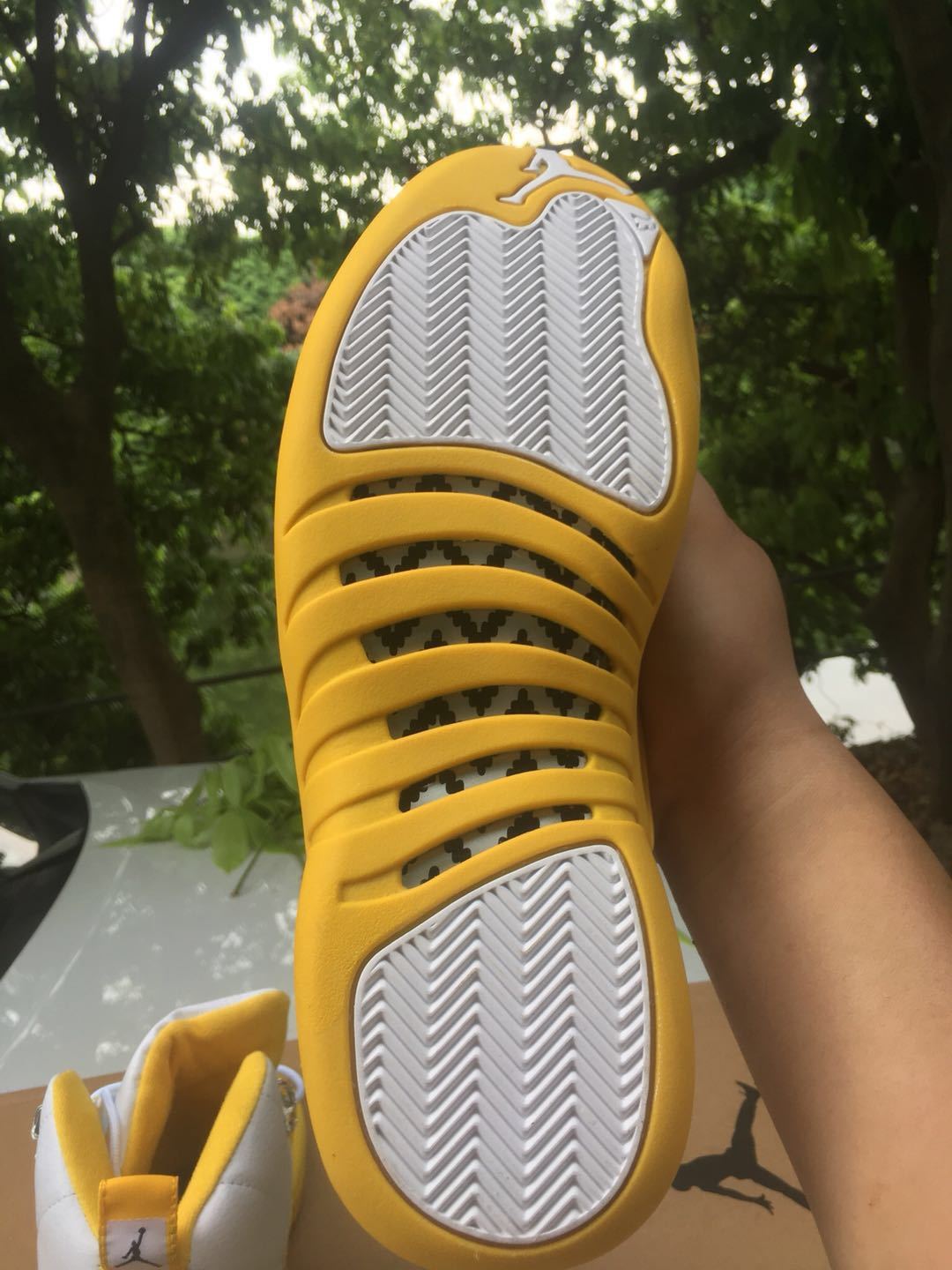 Jordan 12 High-Top Sneakers in White and Yellow