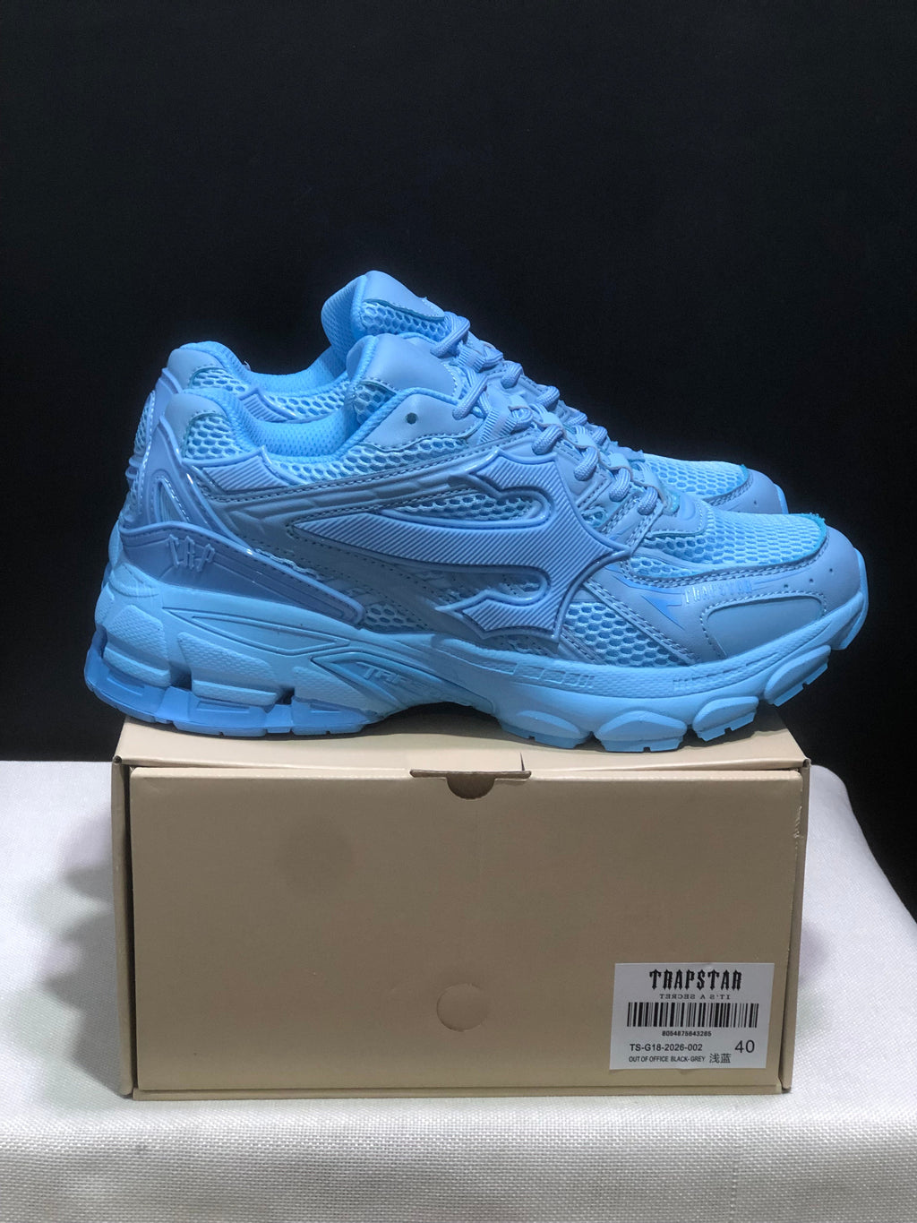 TAP Retro Chunky Sneakers in Blue