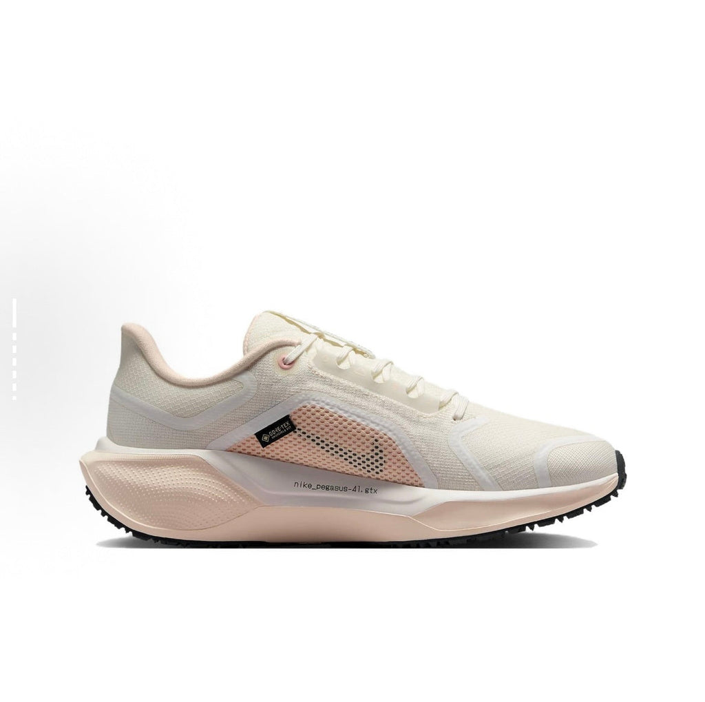 Nike Pegasus 41 GORE-TEX Running Shoes FQ1357-100