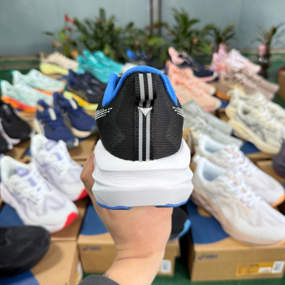 ASICS Novablast 5 LE Black Blue Running Shoes