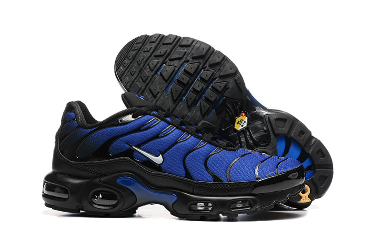 Nike Air Max Plus Blue and Black Sneakers