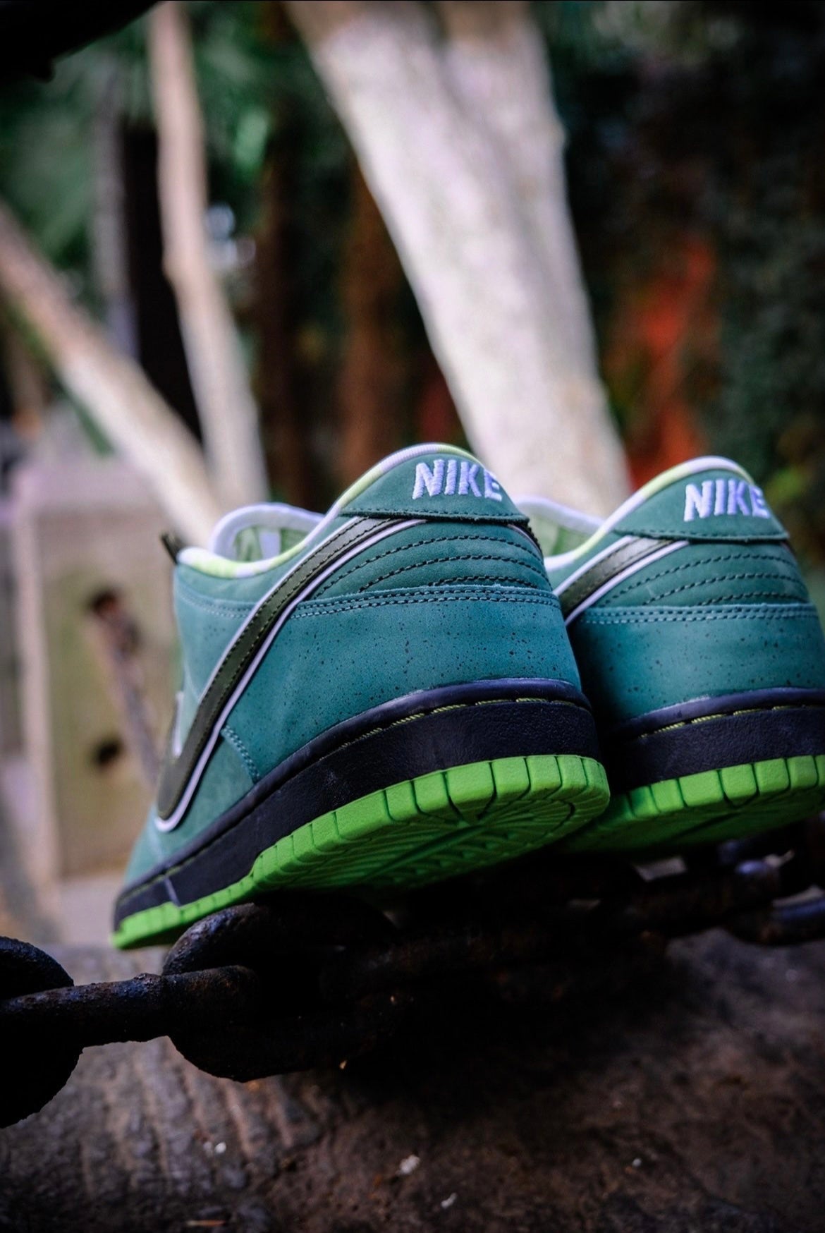 Nike SB Dunk Low Green Lobster Sneakers BV1310-337