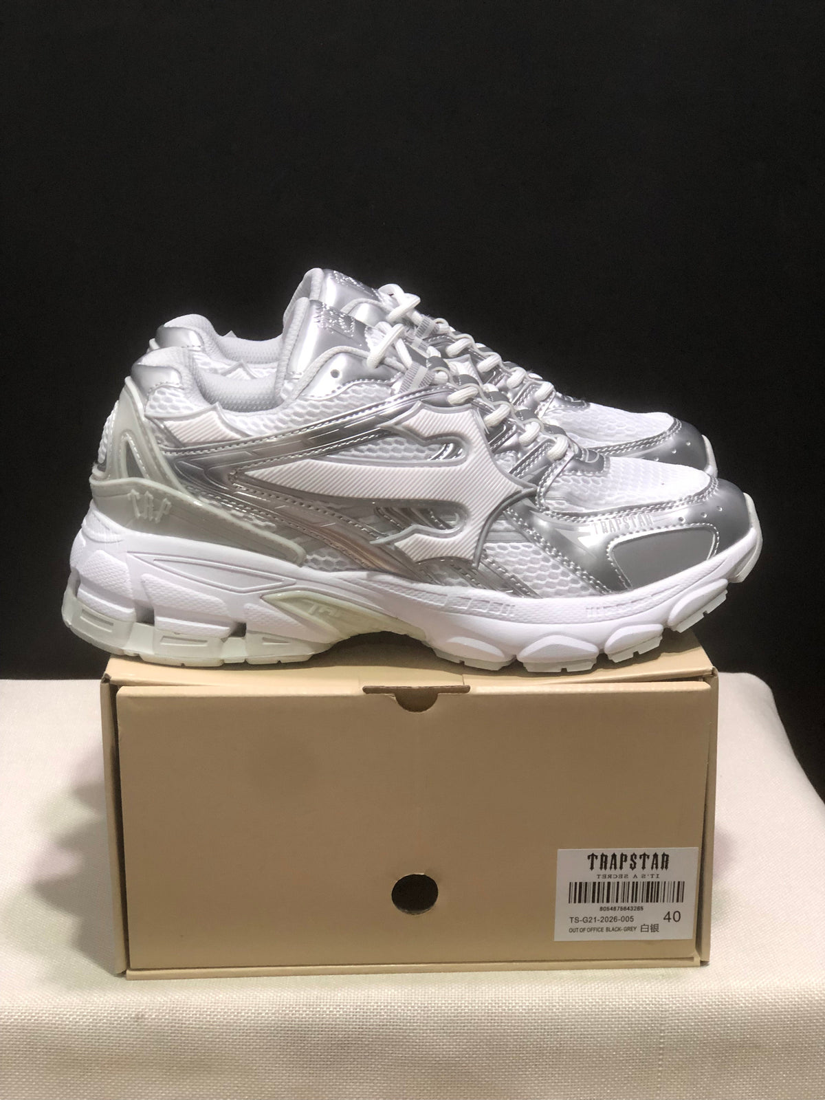 TAP Retro Chunky Sneakers in White and Silver